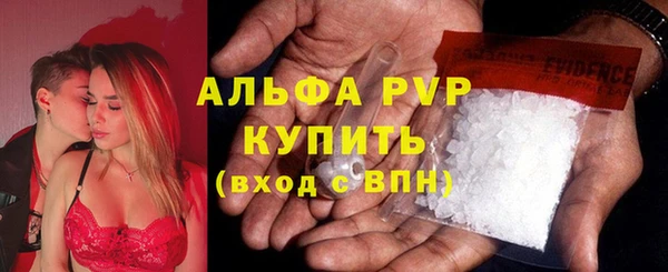 PSILOCYBIN Лабытнанги