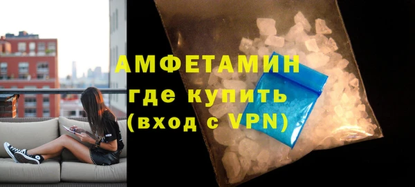 сатива Вяземский