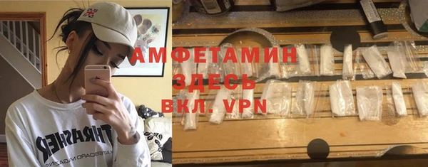 сатива Вяземский