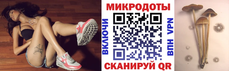 Галлюциногенные грибы ЛСД Нея